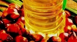 Palm Oil Refined (Пальмовое масло рафинированное)
