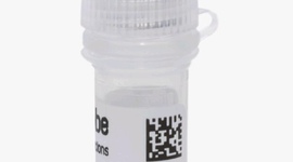 Undecylenamidopropyl PEG-2-Dimonium Undecylenate