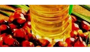 Palm Oil Refined (Пальмовое масло рафинированное)